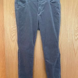 Loft gray corduroy pants